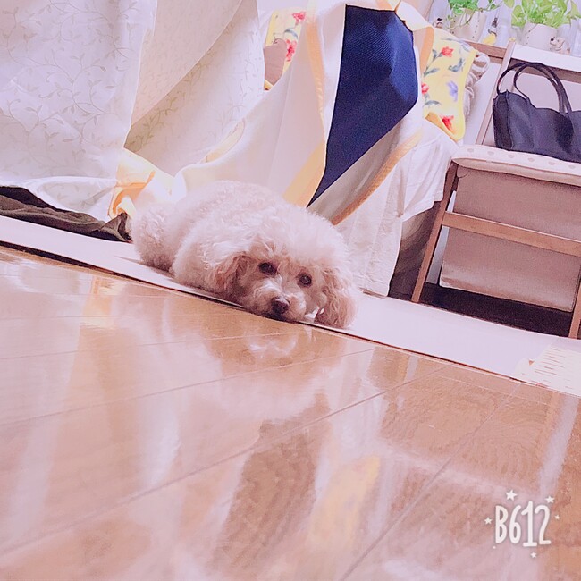 ponzu0121のカバー写真