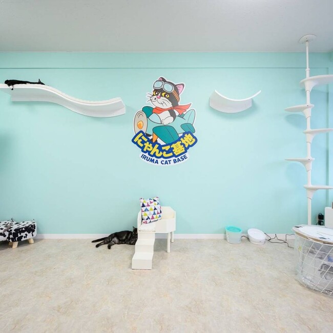 譲渡型保護猫カフェ　にゃんこ基地のカバー写真