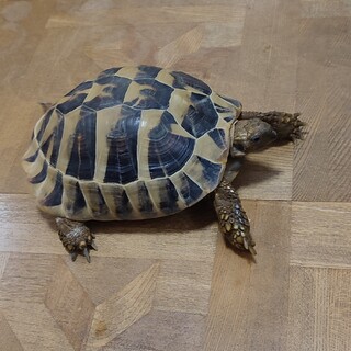 応募多数のため締め切ります