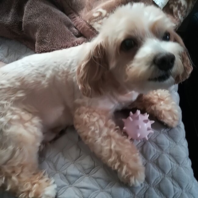 21841のカバー写真