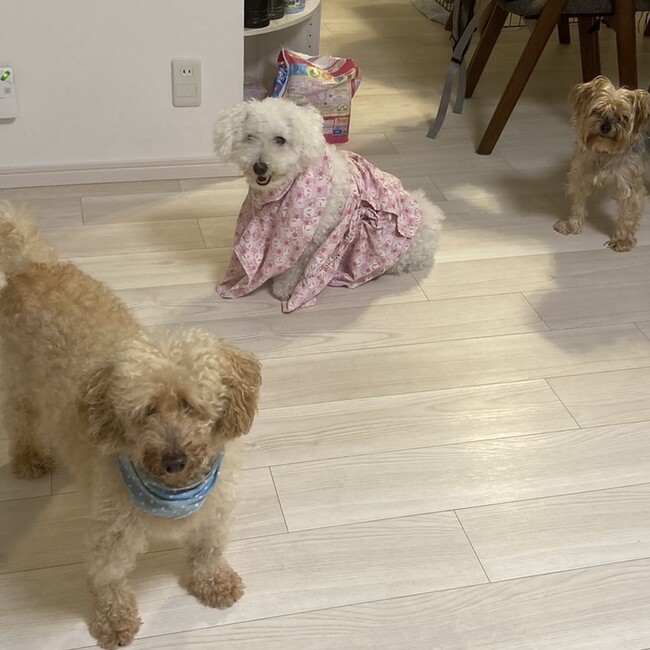 ひがしのりのカバー写真