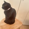 の写真