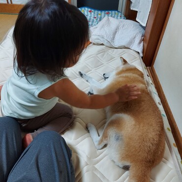う~~ん(´ω｀ )zzZ眠い。。ちびﾁｬﾝありがとう( ´ー`)