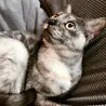 の写真
