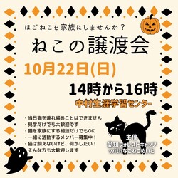 名古屋保護猫譲渡会