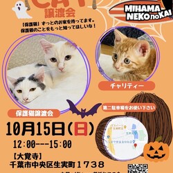 ねこの譲渡会 サムネイル1