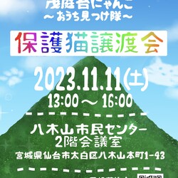 保護猫譲渡会（茂庭台にゃんこ）