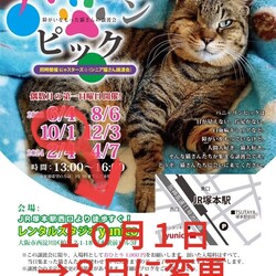第４１回パニャリンピック＆にゃスターズー障害猫さん＆シニア猫さんの譲渡会 サムネイル1