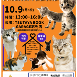 保護猫の譲渡会 サムネイル1