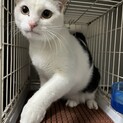 優しい里親様に出会えました