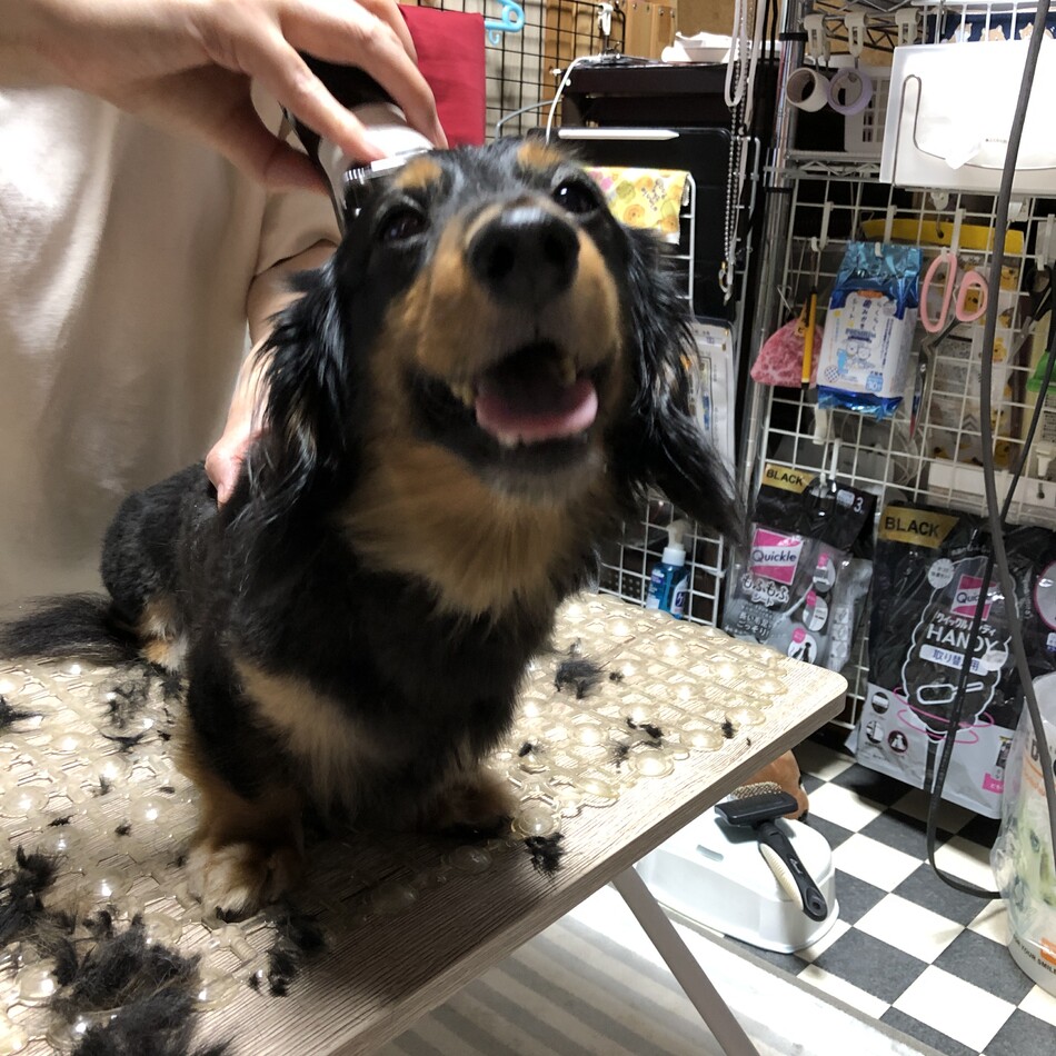 りくのカバー写真