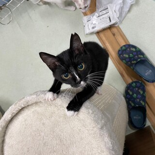 くりくりお目目が可愛い男の子