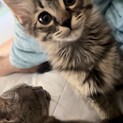 7月14日生まれの男の子