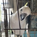 多数のお声がけを頂いた為募集を一時停止いたします。