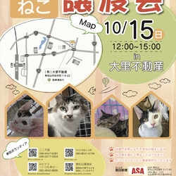 東松山市保護ねこ譲渡会