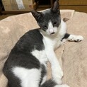 無邪気で性格のいいマツ君