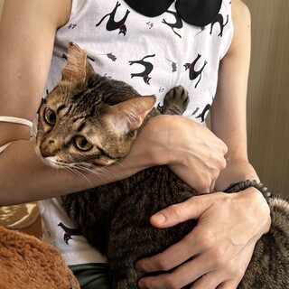 無邪気な男の子