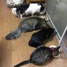 みんなでご一緒に