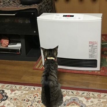 私　寒いんです
