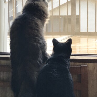 雨早く止まないかなー