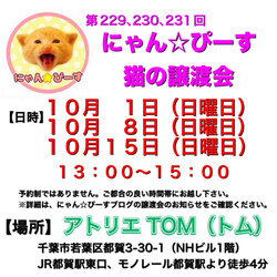 にゃん☆ぴーす猫の譲渡会【都賀･アトリエTOM】 サムネイル1