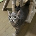 人が大好きな男の子です