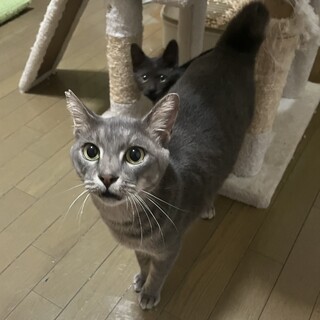 人が大好きな男の子です