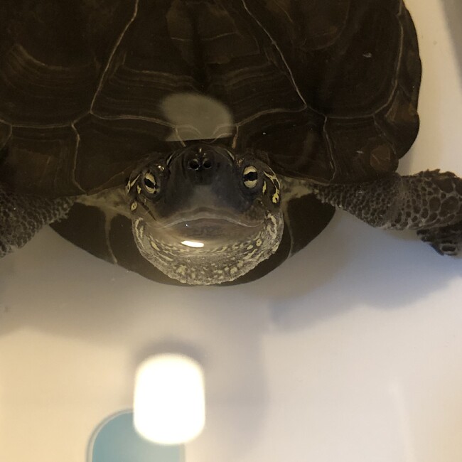 yuriママのカバー写真