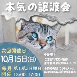 本気の譲渡会 サムネイル1