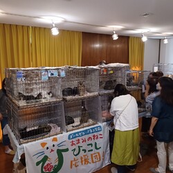 本気の譲渡会 サムネイル2