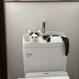 オシャレ前髪シュッシュです！