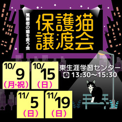 繁華街の猫を救う譲渡会in東区