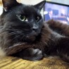 カズエちゃんの息子、遥くん サムネイル5