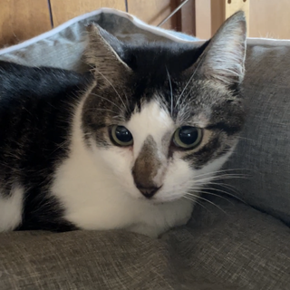 優しいドーナツ君