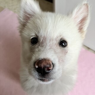 やんちゃな男の子です！