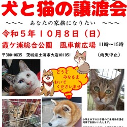 犬猫譲渡会～あなたの家族になりたい～　　　　 サムネイル1