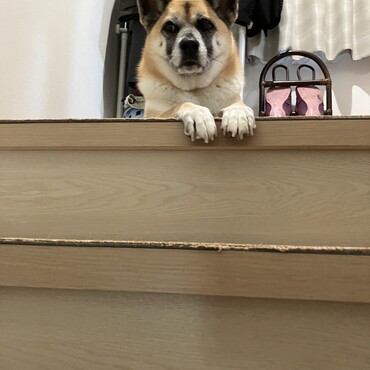 の写真