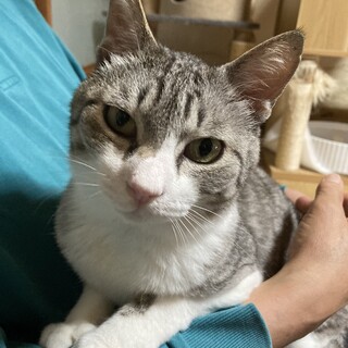 シニアの方にピッタリのおとなしい　風❗️