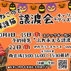 伊丹 ふれあえる譲渡会