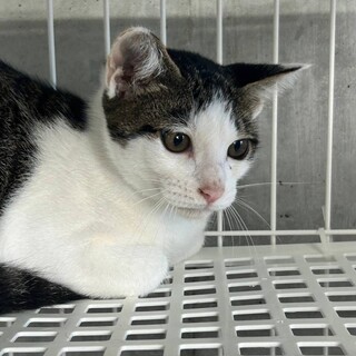 ありがとうございました！