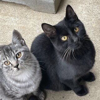 冬の寒さが来る前にお願いします。