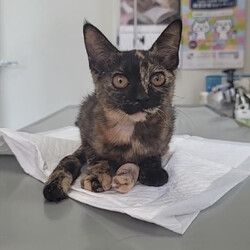 もうすぐ退院♡