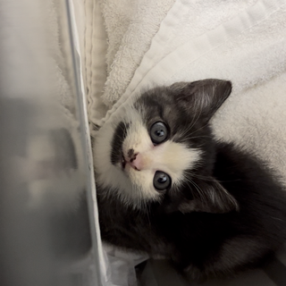 生後1ヶ月の男の子♡