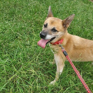 ありがとうございました！