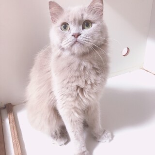 見学者様決まりましたので一度受付を終了します。