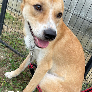 ＜エム＞怖がりだけど人が大好きな男の子