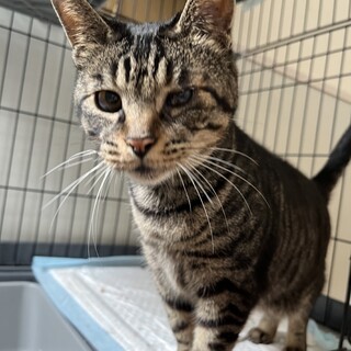 素敵なご縁がありました甘えん坊なりーちゃん