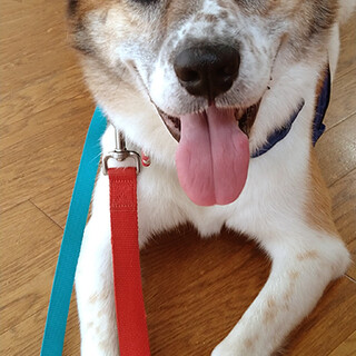 明るい甘えん坊くん