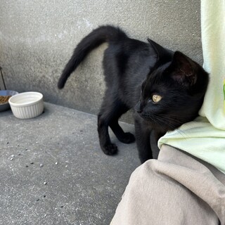 甘えん坊です！