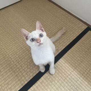 10/15西千葉ෆ⃛元気いっぱいෆ⃛バニくん